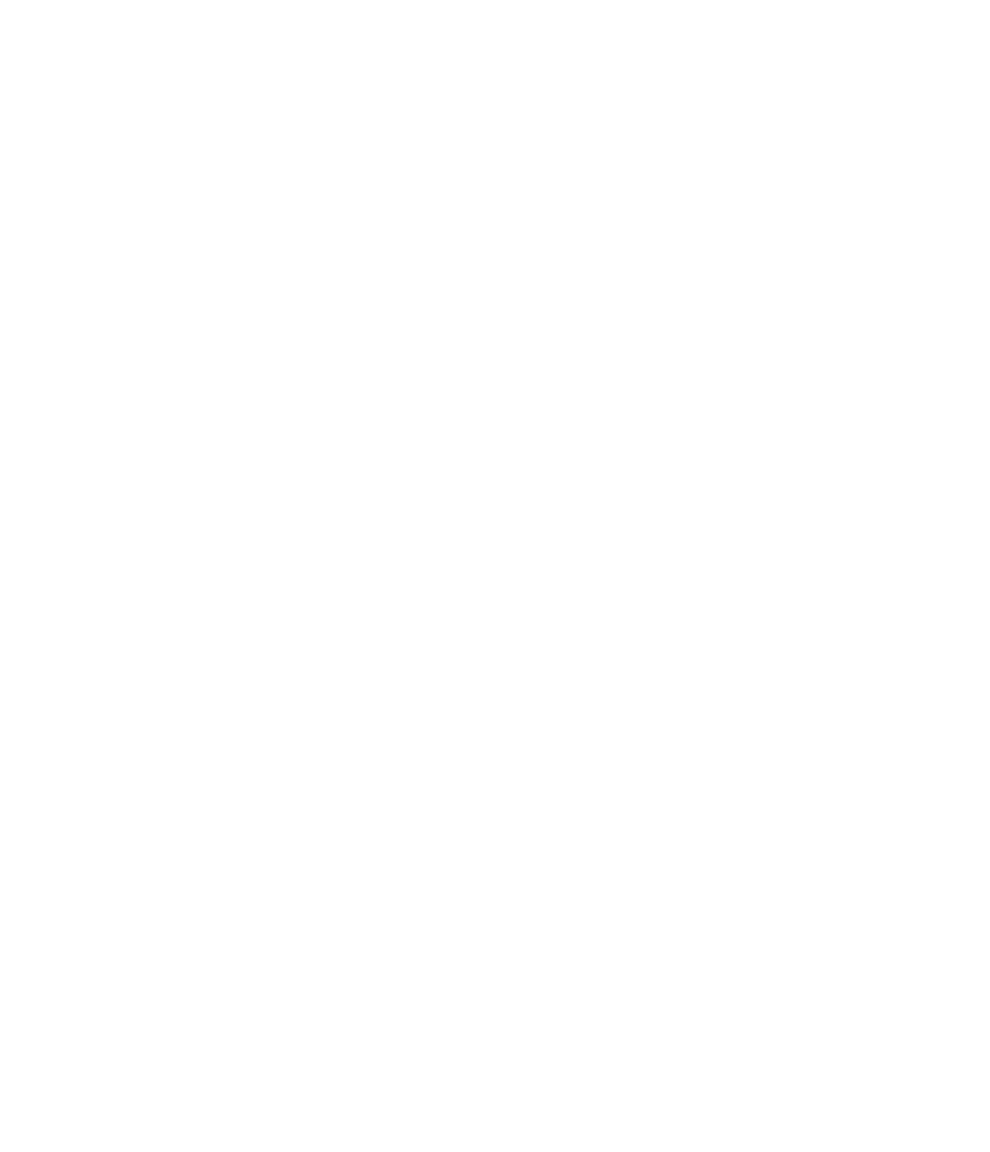 Bade International